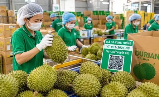 Hướng tới 74 tỷ USD xuất khẩu nông sản: Gỡ nút thắt từ thị trường đến vùng trồng