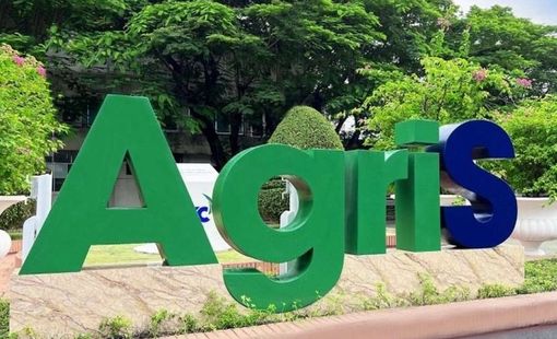 AgriS chuyển dịch nguồn thu: Gạo và thực phẩm dần trở thành động lực mới