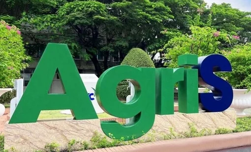 AgriS chuyển dịch nguồn thu: Gạo và thực phẩm dần trở thành động lực mới