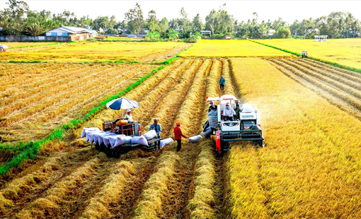 Từ máy gặt đến drone: Cơ giới hóa đang mở đường cho xuất khẩu nông sản Việt
