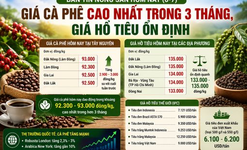 Giá nông sản hôm nay (6-7): Giá cà phê lên mức cao nhất trong hơn 3 tháng, hồ tiêu giữ giá ổn định