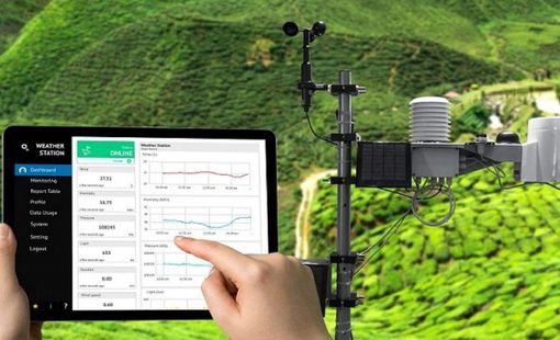 TP.HCM xây dựng hệ thống quan trắc môi trường, hướng tới phát triển chăn nuôi xanh và bền vững