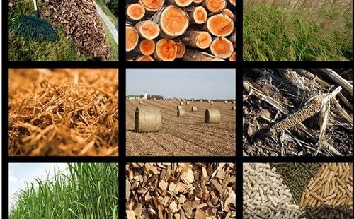 Phụ phẩm không còn là phế phẩm: Doanh nghiệp công nghiệp nông thôn kiếm tiền từ kinh tế tuần hoàn