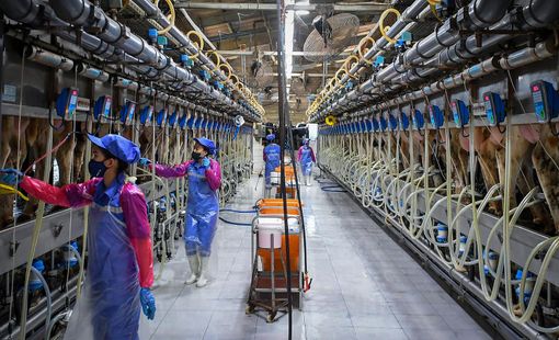 Không chỉ kiểm tra hồ sơ, khách hàng quốc tế đang muốn “tham quan” nhà máy từ xa