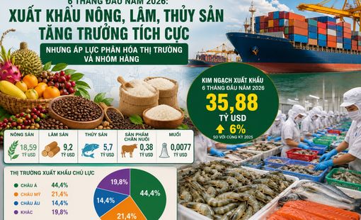 Xuất khẩu nông, lâm, thủy sản đạt gần 35,9 tỷ USD trong 6 tháng đầu năm 2026