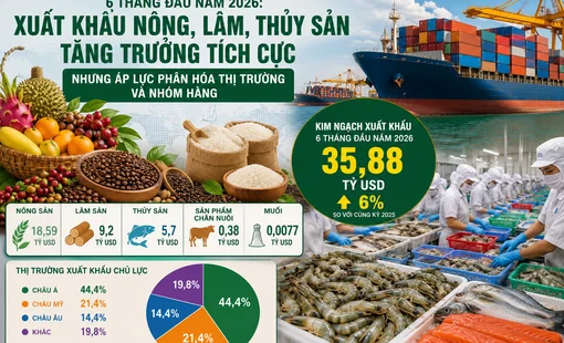 Xuất khẩu nông, lâm, thủy sản đạt gần 35,9 tỷ USD trong 6 tháng đầu năm 2026