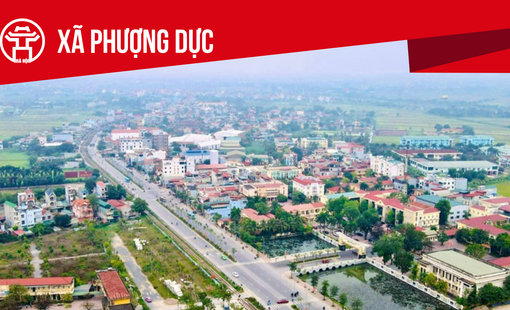 Phượng Dực tạo sức bật bằng thương mại điện tử, kiến tạo diện mạo mới cho làng nghề
