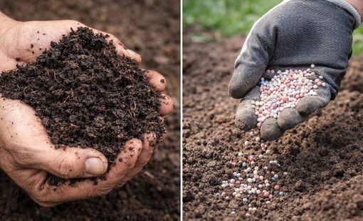 Công nghệ sinh học đang thay đổi ngành phân bón Việt Nam như thế nào?
