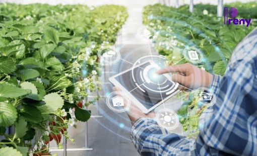 AI trong nông nghiệp: Từ dự báo thời tiết đến quản lý vùng nguyên liệu