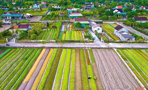 Khuyến công Hà Tĩnh lấy chuyển đổi số làm động lực phát triển công nghiệp nông thôn