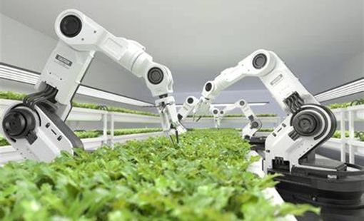Robot nông nghiệp đang thay đổi cách người Việt canh tác