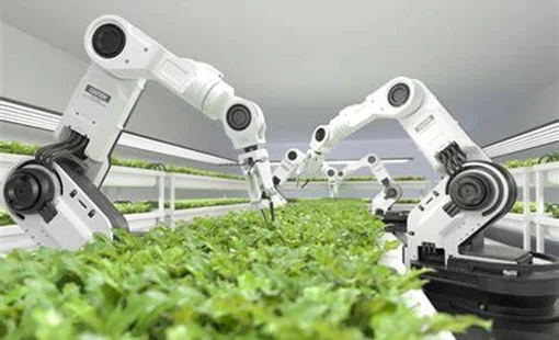 Robot nông nghiệp đang thay đổi cách người Việt canh tác