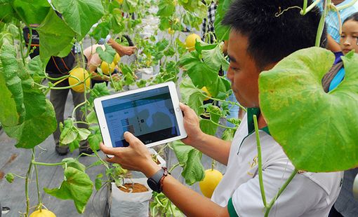 Chuyển đổi số đang giúp hợp tác xã nông nghiệp thay đổi ra sao?