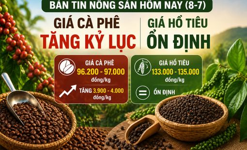 Giá nông sản hôm nay (8-7): Giá cà phê lập đỉnh 4 tháng, hồ tiêu tiếp tục đi ngang