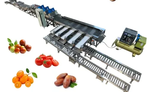 Thiết bị sau thu hoạch: "Mắt xích" quyết định giá trị nông sản xuất khẩu