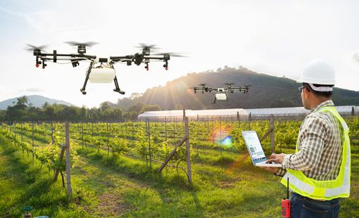 Máy bay không người lái đang thay đổi cách chăm sóc cây trồng