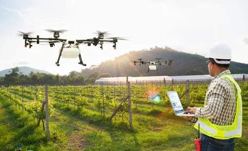 Máy bay không người lái đang thay đổi cách chăm sóc cây trồng