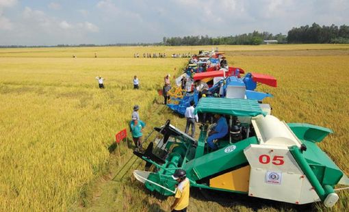 Thuê dịch vụ máy nông nghiệp: Giải pháp tiết kiệm cho sản xuất quy mô nhỏ