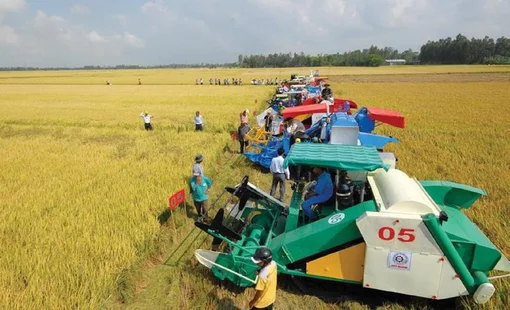 Thuê dịch vụ máy nông nghiệp: Giải pháp tiết kiệm cho sản xuất quy mô nhỏ