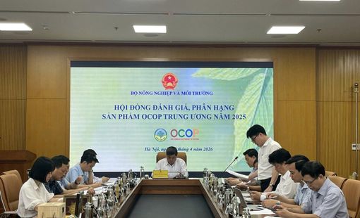 Cả nước có 166 sản phẩm OCOP 5 sao, mở rộng dư địa phát triển kinh tế nông thôn