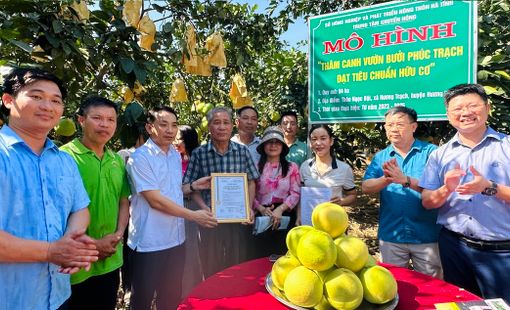 Hà Tĩnh dành hơn 22 tỷ đồng tạo động lực mới cho công nghiệp nông thôn