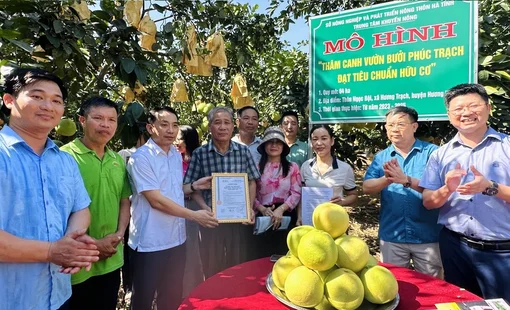 Hà Tĩnh dành hơn 22 tỷ đồng tạo động lực mới cho công nghiệp nông thôn