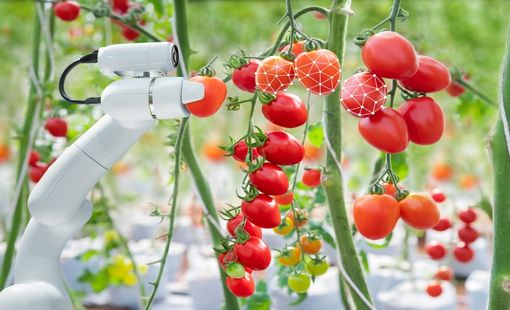 Khu nông nghiệp công nghệ cao được hưởng loạt chính sách ưu đãi mới
