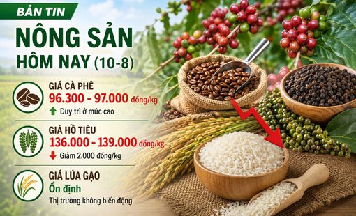 Giá nông sản hôm nay (10-8): Giá cà phê neo cao, hồ tiêu giảm 2.000 đồng/kg