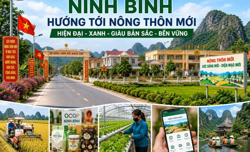 Ninh Bình hướng tới nông thôn mới hiện đại, xanh và giàu bản sắc