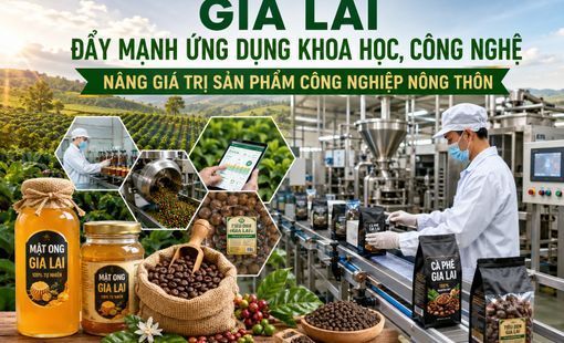 Gia Lai lấy khoa học, công nghệ làm động lực nâng giá trị sản phẩm công nghiệp nông thôn