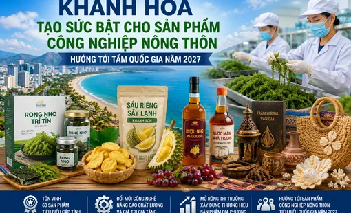 Khánh Hòa tạo sức bật cho sản phẩm công nghiệp nông thôn vươn tầm quốc gia