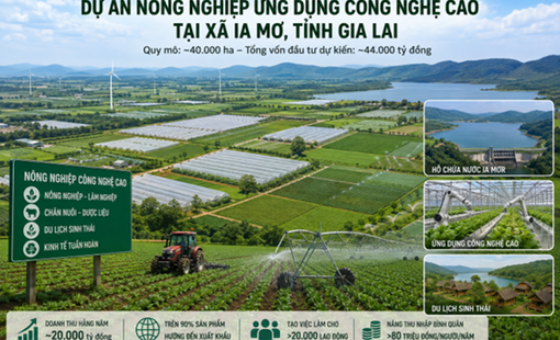 Gia Lai đề xuất siêu dự án nông nghiệp công nghệ cao 40.000 ha tại Ia Mơ