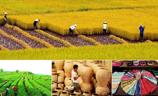 Đề xuất hợp nhất 4 chương trình mục tiêu quốc gia, tăng quyền chủ động cho địa phương