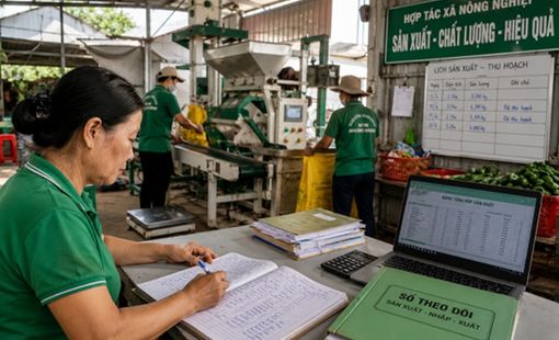 Tại sao nhiều hợp tác xã mua máy hiện đại nhưng vẫn phải thuê người ghi sổ bằng tay?