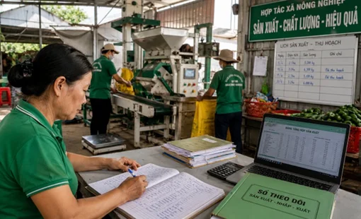 Tại sao nhiều hợp tác xã mua máy hiện đại nhưng vẫn phải thuê người ghi sổ bằng tay?