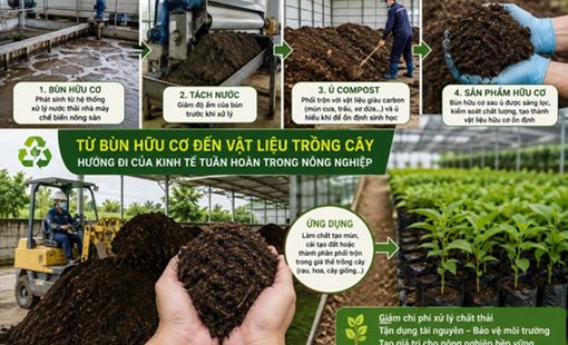 Từ bùn hữu cơ đến vật liệu trồng cây: Hướng đi mới của kinh tế tuần hoàn nông sản