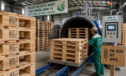 Nghề làm pallet gỗ cho nông sản xuất khẩu đang thay đổi vì tiêu chuẩn kiểm dịch ISPM 15