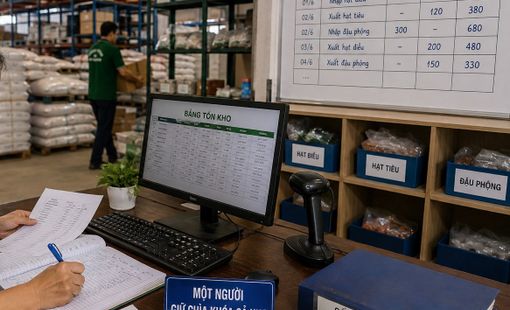 “Một người giữ chìa khóa cả kho”: Rủi ro nhân sự trong các cơ sở chế biến nông sản nhỏ