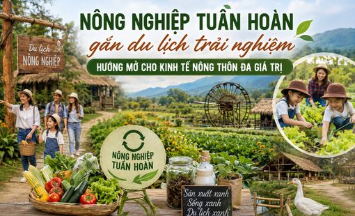Nông nghiệp tuần hoàn gắn du lịch trải nghiệm: Hướng mở cho kinh tế nông thôn đa giá trị