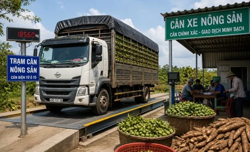Nghề cân xe nông sản thuê “sống lại” nhờ các vùng chuyên canh mở rộng
