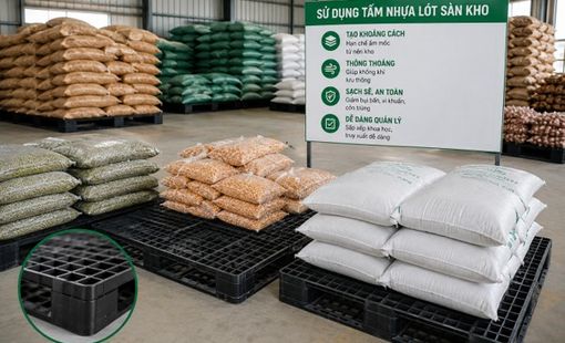 Tấm nhựa lót sàn kho: Giải pháp nhỏ đang giúp giảm thất thoát nông sản sau thu hoạch