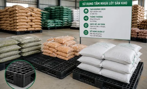 Tấm nhựa lót sàn kho: Giải pháp nhỏ đang giúp giảm thất thoát nông sản sau thu hoạch