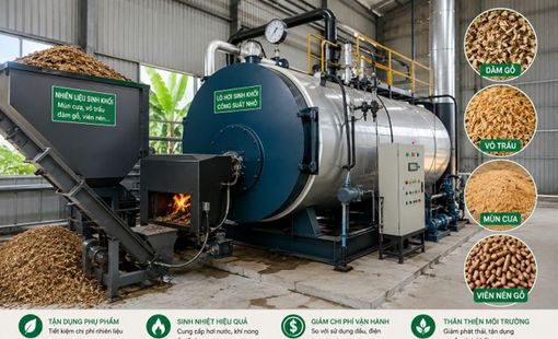 Lò hơi sinh khối công suất nhỏ: Thị trường âm thầm phục vụ các cơ sở sấy địa phương
