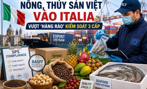 Nông sản, thực phẩm và thủy sản Việt Nam vào Italia: Doanh nghiệp cần vượt “hàng rào” kiểm soát 3 cấp