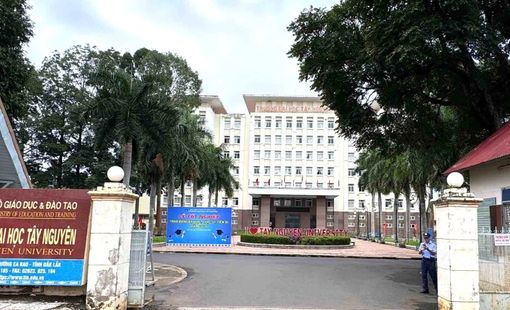 Điểm chuẩn Đại học Tây Nguyên năm 2026: Giáo dục Thể chất cao nhất với 25,95 điểm