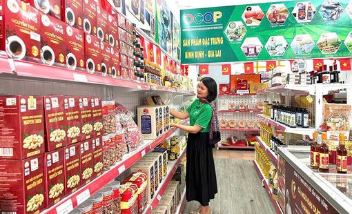 Gia Lai tăng cường hậu kiểm sản phẩm OCOP để bảo đảm chất lượng và an toàn thực phẩm