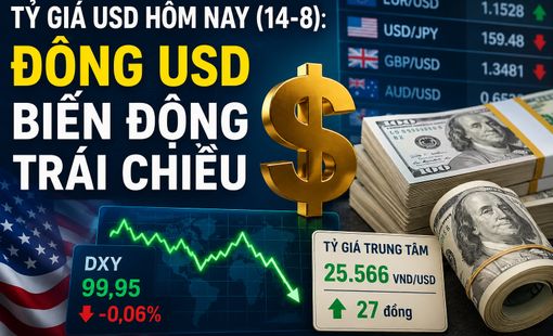 Tỷ giá USD hôm nay (14-8): Tỷ giá trung tâm tăng 27 đồng, USD thế giới biến động trái chiều