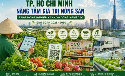 TP. Hồ Chí Minh nâng tầm giá trị nông sản bằng nông nghiệp xanh và công nghệ cao