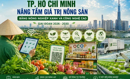 TP. Hồ Chí Minh nâng tầm giá trị nông sản bằng nông nghiệp xanh và công nghệ cao