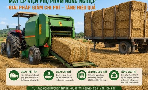 Máy ép kiện phụ phẩm nông nghiệp: “Chìa khóa logistics” giúp rơm và thân ngô có giá trị hơn